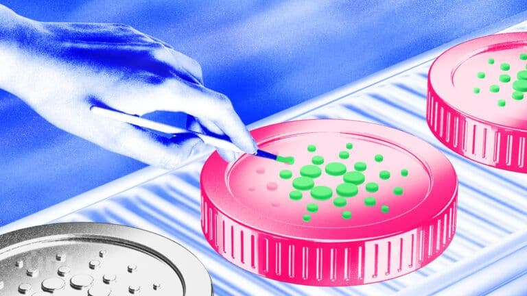 Cardano иелері сатудан бас тартты — бұл ADA бағалары үшін нені білдіреді?