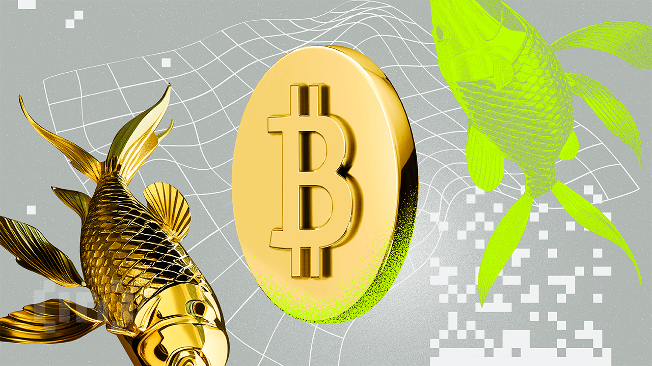 Сарапшының айтуынша, өтімділік бумы кезінде Биткоин 100 күндік кешігумен алтынның раллиін қайталайды