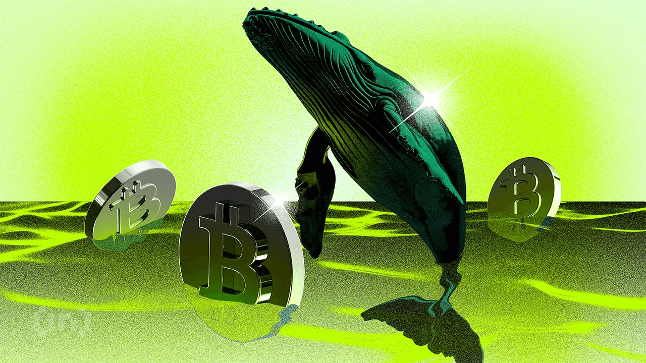 12 жыл үнсіз тұрған Bitcoin әмияны 324 млн долларды жылжытты, ескі киттер нені меңзеуде?